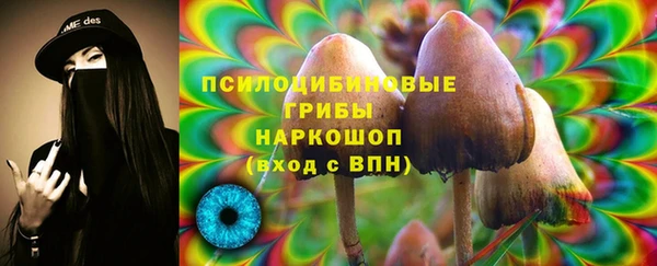 дурь Белоозёрский