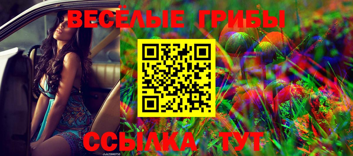 Галлюциногенные грибы Psilocybe Борисоглебск